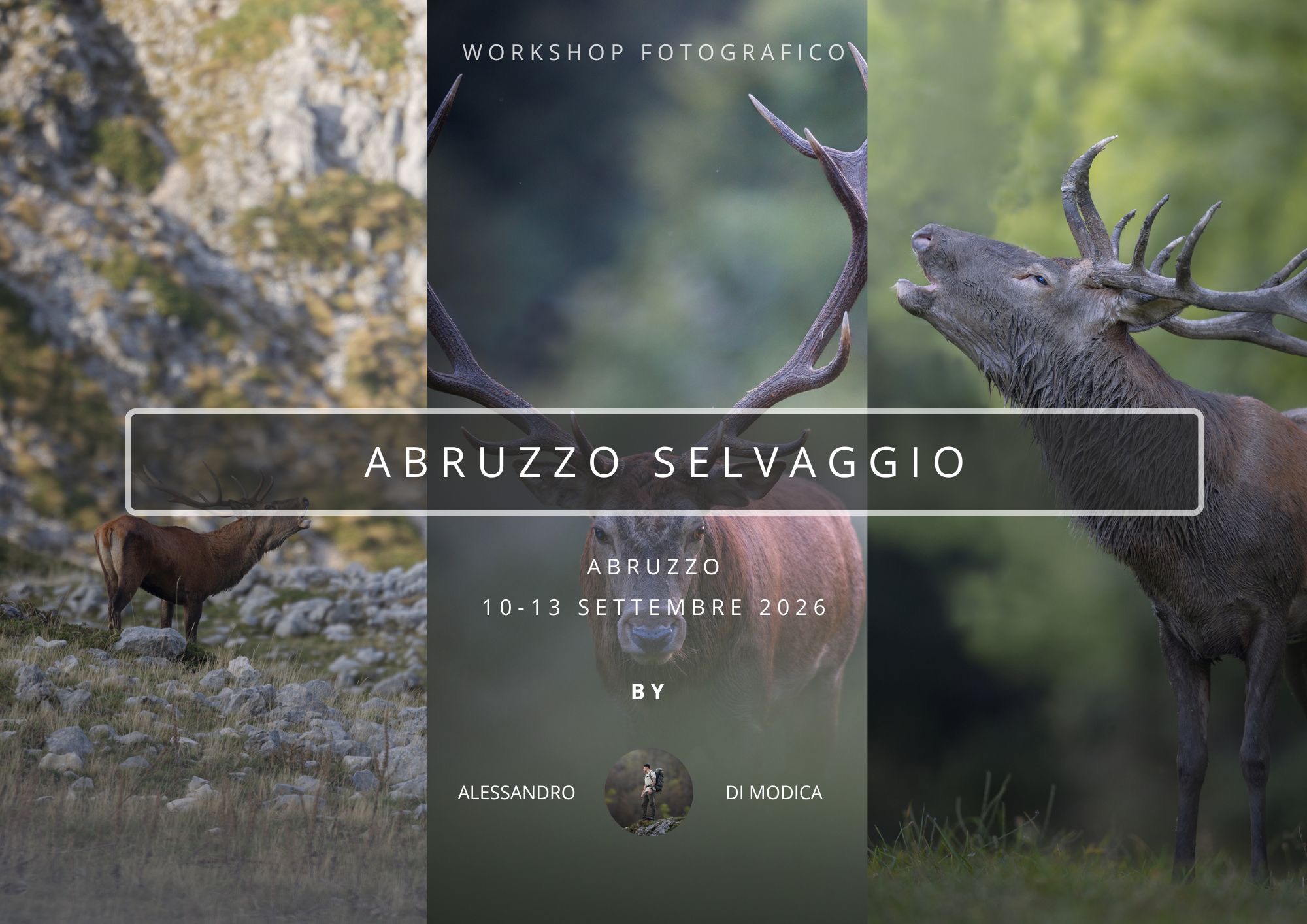 WILD ABRUZZO 10-13 SEPTEMBER 2026